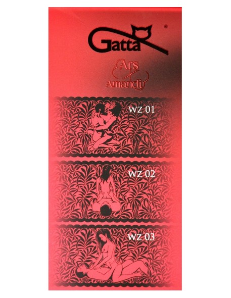 Pończochy samonośne Gatta Ars Amandi Calze 02...